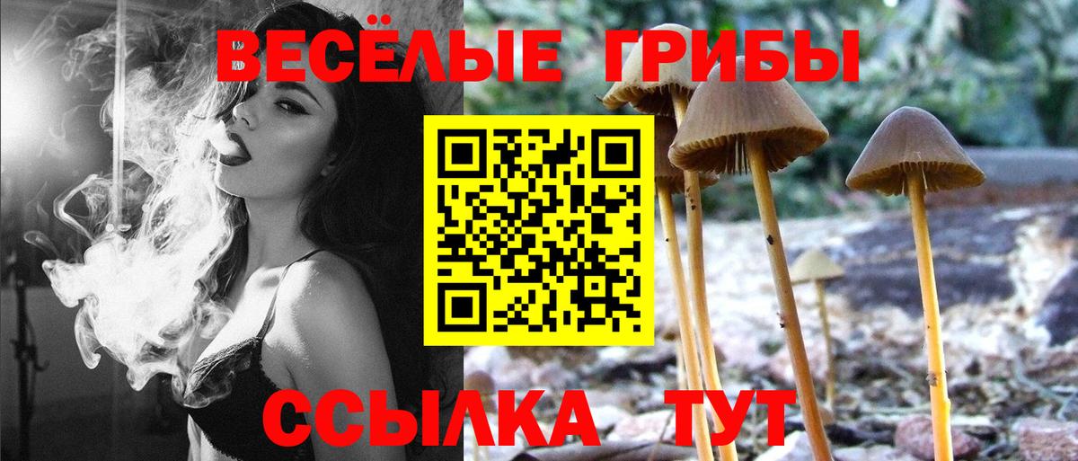 Галлюциногенные грибы Magic Shrooms Димитровград