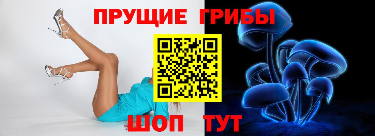 Псилоцибиновые грибы Magic Shrooms  Вход с VPN  Димитровград 